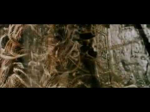 Videos- Blueberry Ayahuasca OPEN YOUR EYE
Videos- Blueberry Ayahuasca OPEN YOUR EYE