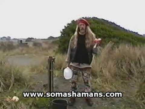 Shroom: Raw Amanita Muscaria Mushroom is Always Spiritually Best
