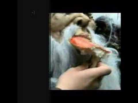 Magic-Mushroom.com Shroom Trip on Amanita Muscaria
Magic-Mushroom.com Shroom Trip on Amanita Muscaria