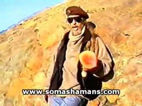 Videos Hawk and the Heavenly Side of Amanita Muscaria mushrooms
Videos Hawk and the Heavenly Side of Amanita Muscaria mushrooms