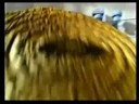 Airwick - 'Magic Mushroom' - Advert - 10 Seconds
