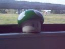 Net Videos: codys magic mushroom adventure part:1

