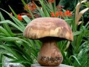 Magic Mushroom Engraved wooden garden ornament art sculpture
Magic Mushroom Engraved wooden garden ornament art sculpture