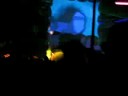 Watch: Fullmoon Festival 2008 vibe tribe
Watch: Fullmoon Festival 2008 vibe tribe
