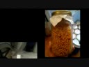 Growing Magic Shrooms Video on YouTube

