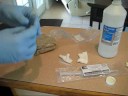 YouTube: how to grow shrooms fast and cheap
YouTube: how to grow shrooms fast and cheap