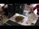 Awesome Video: Huntin' for Shrooms
Awesome Video: Huntin' for Shrooms