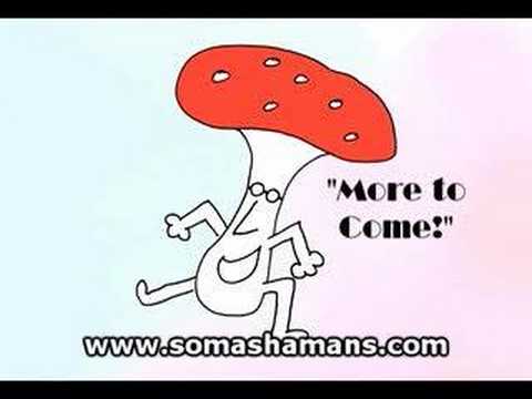 News: Shroom Dancing - Amanita Muscaria Mushroom Cartoon
News: Shroom Dancing - Amanita Muscaria Mushroom Cartoon