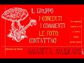 Shrooms: Amanita Muscaria - Di Una Lettera Per Te
Shrooms: Amanita Muscaria - Di Una Lettera Per Te