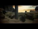 Magic Mushroom Language of Psilocybin
