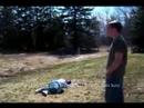 Come see: Le Champignon Magique English Sub.
Come see: Le Champignon Magique English Sub.