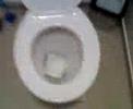 Magic-Mushroom.com= lol magic mushrooms
