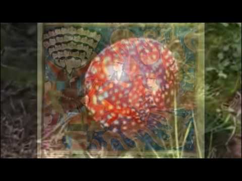 Shrooms: Ancient European and Middle Eastern Psychedelic drug use - An Interview with Alan Piper
