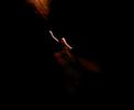 Net Videos: magic mushroom madness
Net Videos: magic mushroom madness