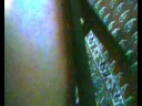 Magic Mushroom: Great Video
Magic Mushroom: Great Video