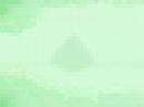 Video on: MAGIC MUSHROOMS - IT'S A HAPPENING
