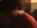 magic-mushroom.com: Magic Mushrooms
magic-mushroom.com: Magic Mushrooms