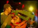 Mushroom Video: Magic Mushrooms - Song for soul children
