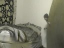 Videos Magic Mushrooms
