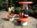 Magic Mushrooms????
