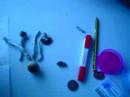 Learn all about: Magic Mushrooms
Learn all about: Magic Mushrooms