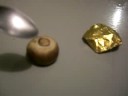 Magic Mutant Mushroom Videos
