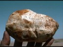 Video on: Manna Mystery Solved ?
