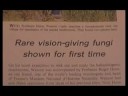 Mushroom Video Manna - psilocybin mushroom documentary
Mushroom Video Manna - psilocybin mushroom documentary