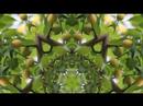 Must see Video: Michelle Bellerose [this sex which is not one]
