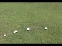 Awesome Video: Mushroom Ring aka Fairy Ring or Fairie Ring
