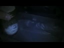 Mushroom Video mushrooms again
Mushroom Video mushrooms again
