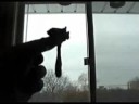 MUSHROOMS ANYONE???: Killer Video
MUSHROOMS ANYONE???: Killer Video
