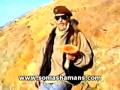 Learn all about: Amanita Muscaria - The Sacred Soma
