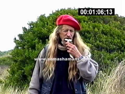 Great Video: Extended Clip: Raw Amanita Muscaria Mushroom is Always Spiritually Best
Great Video: Extended Clip: Raw Amanita Muscaria Mushroom is Always Spiritually Best