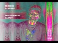 Net Videos~ Terence McKenna: Philosophical Gadfly - 1/15
