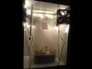 Psilocybe Cubensis Growkit Slideshow
Psilocybe Cubensis Growkit Slideshow