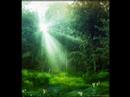 Psy Trance - Magic Mushroom Media
Psy Trance - Magic Mushroom Media