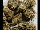 Psychoactive Drugs in Human History
Psychoactive Drugs in Human History