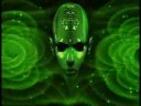 Shrooms: Quantum Knowledge
