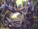 Video on: Quantum Tantra
Video on: Quantum Tantra
