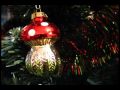 Amanita Muscaria The Magic Christmas Mushroom.wmv: Insane Video
