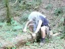 satanic home brew on YouTube
satanic home brew on YouTube
