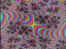 Shroom Smoothie Media
Shroom Smoothie Media