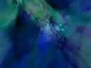 Shrooms Trippy video
Shrooms Trippy video