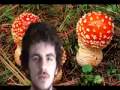 Videos- Amanita Muscarias Activate Your Light Body : A Trip Report From ShaktipatSage
Videos- Amanita Muscarias Activate Your Light Body : A Trip Report From ShaktipatSage