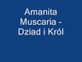 Shrooms: Amanita Muscaria - Dziad i Król
