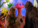 tenacious d...magic mushrooms
tenacious d...magic mushrooms