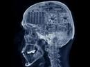 Media~ Terence McKenna culture is your operating system
Media~ Terence McKenna culture is your operating system