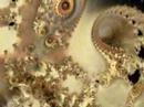 Net Videos- Terence McKenna :: DMT and Sex Magic
Net Videos- Terence McKenna :: DMT and Sex Magic