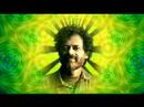 Terence McKenna : Open Doors Pt.1
Terence McKenna : Open Doors Pt.1